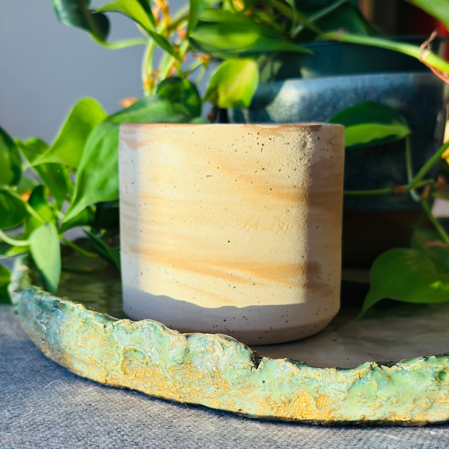 centrepiece | moss