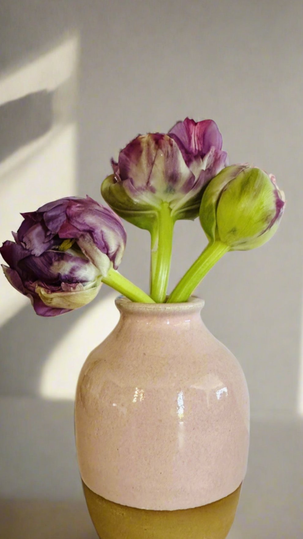 vase | bud in pink
