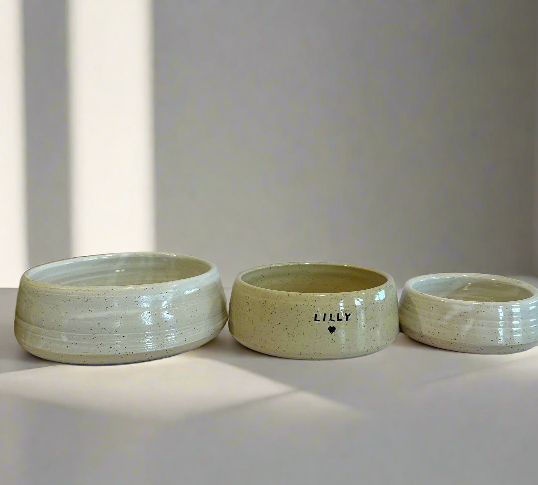 pet bowl | small