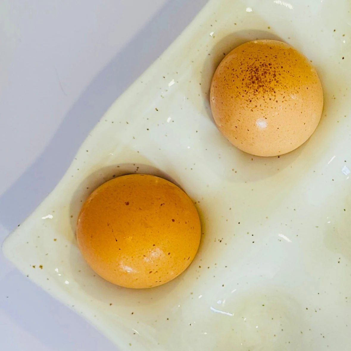 egg holder | vanilla