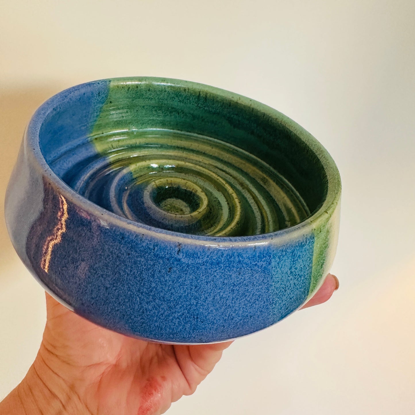 pet bowl | slow feeder