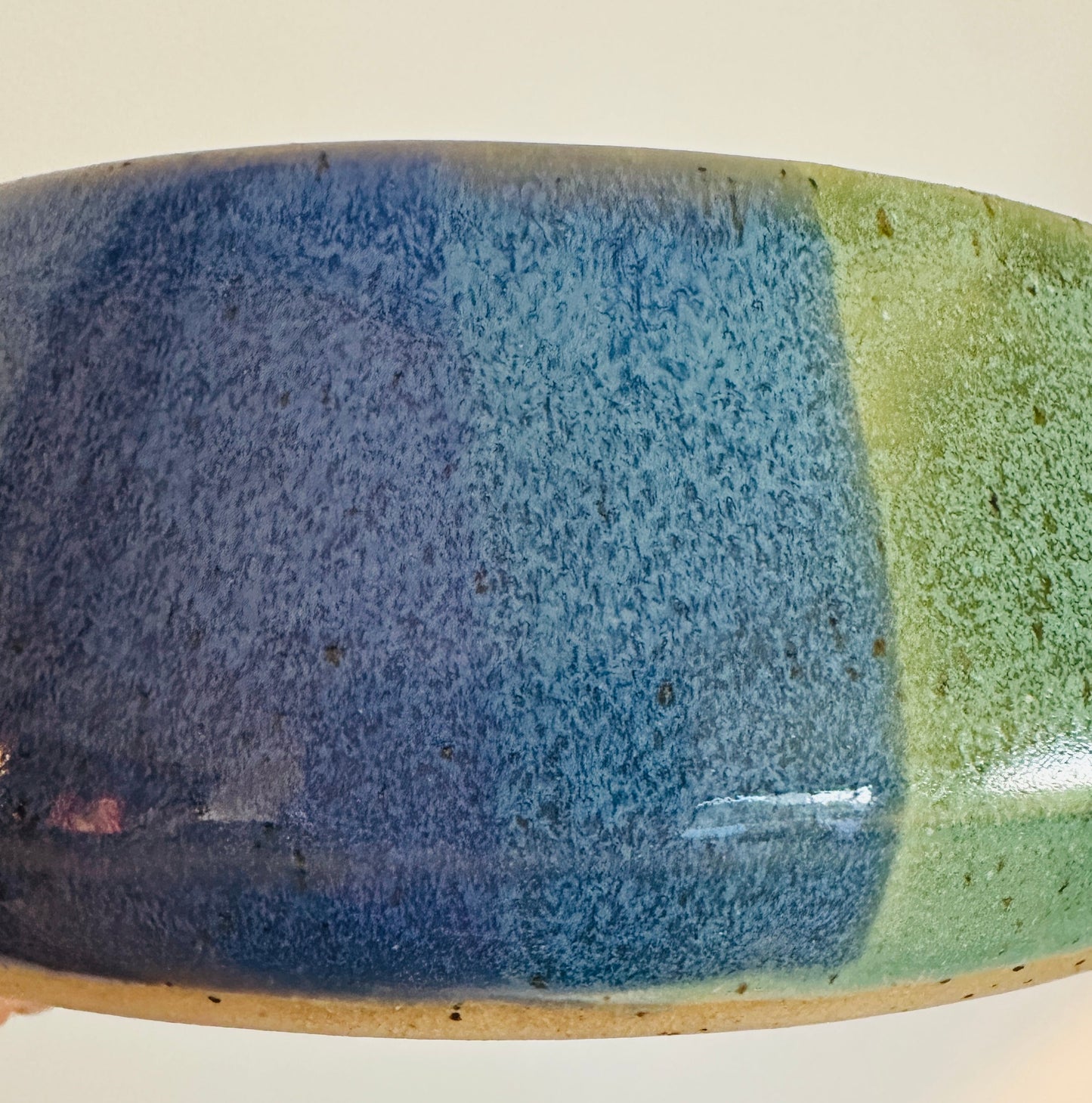 pet bowl | slow feeder
