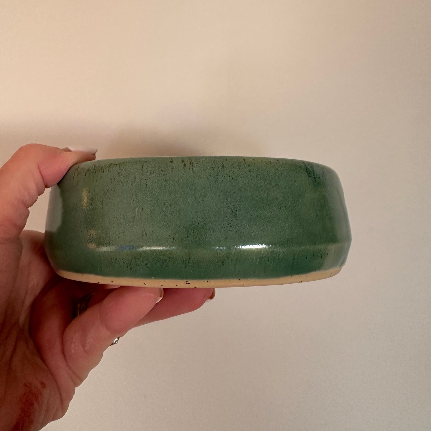 pet bowl | slow feeder