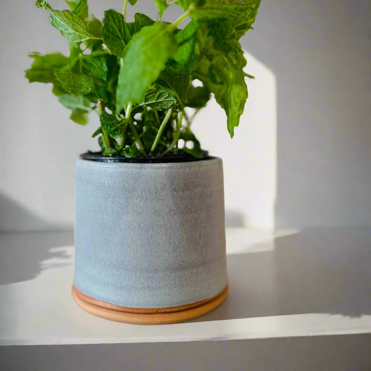 herb pot | denim