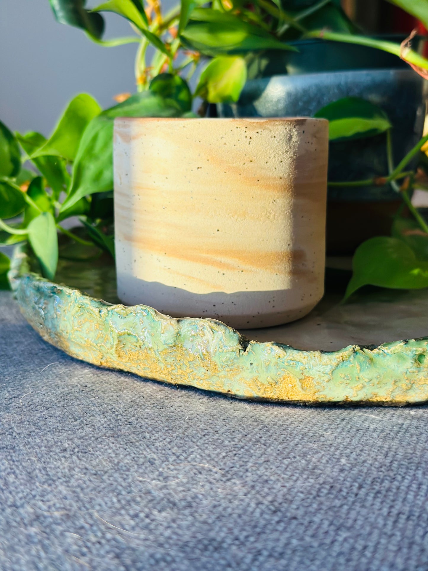 centre piece | moss