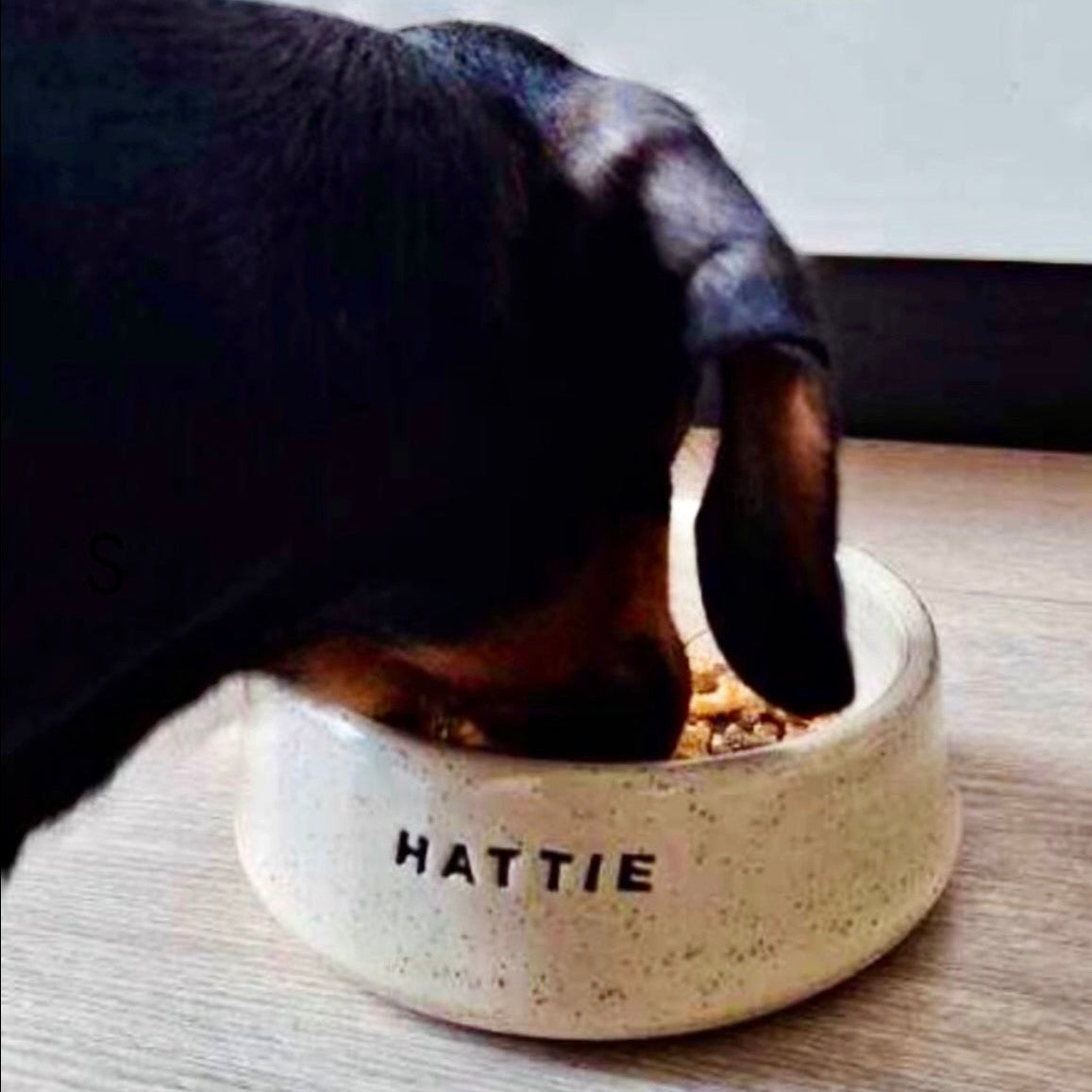 pet bowl | small | customised