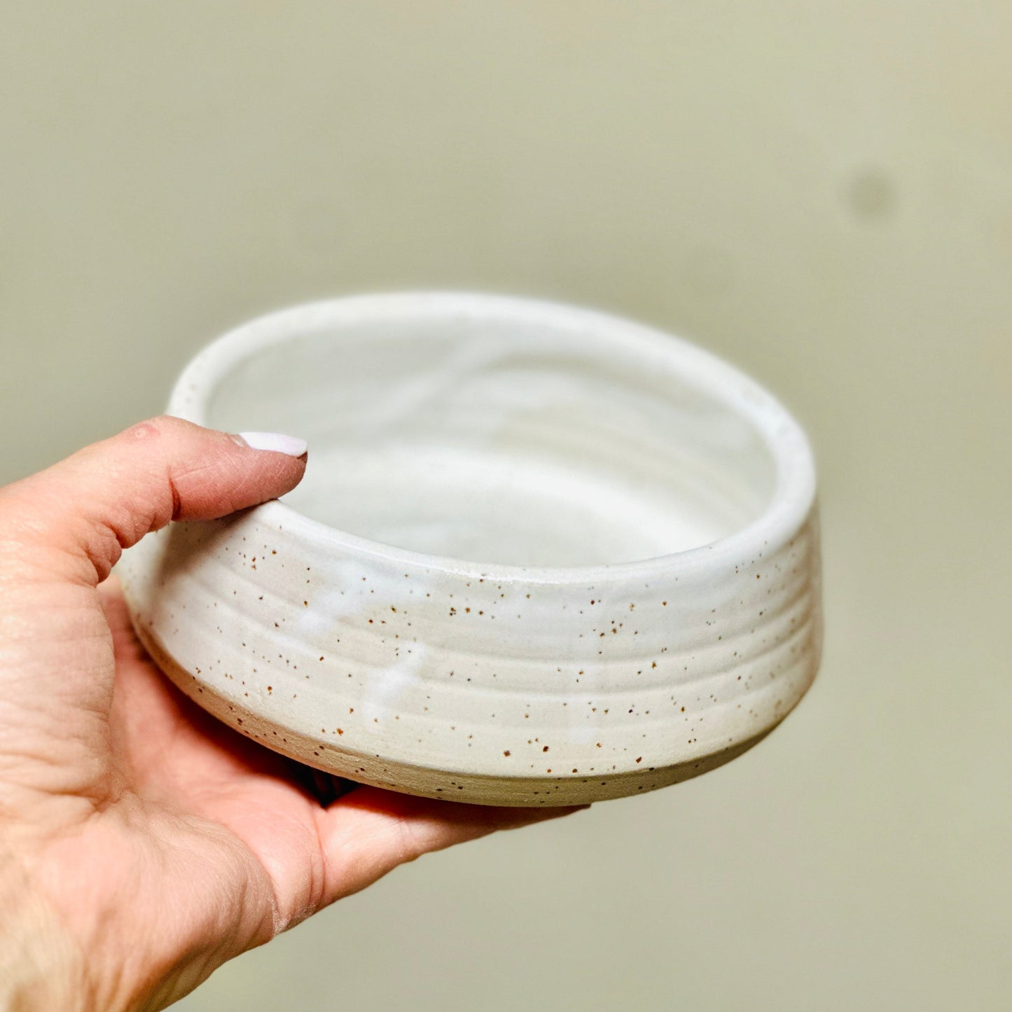 pet bowl | small