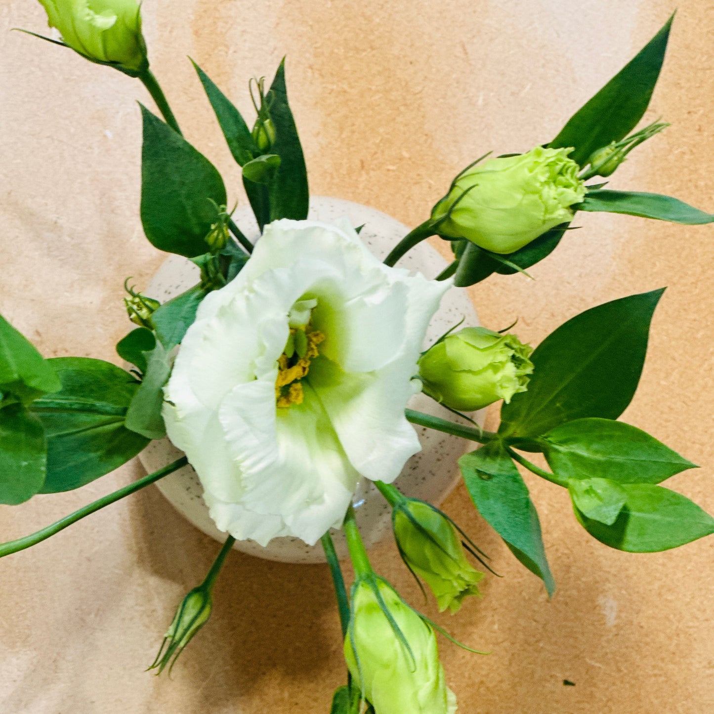 gathering vase | medium
