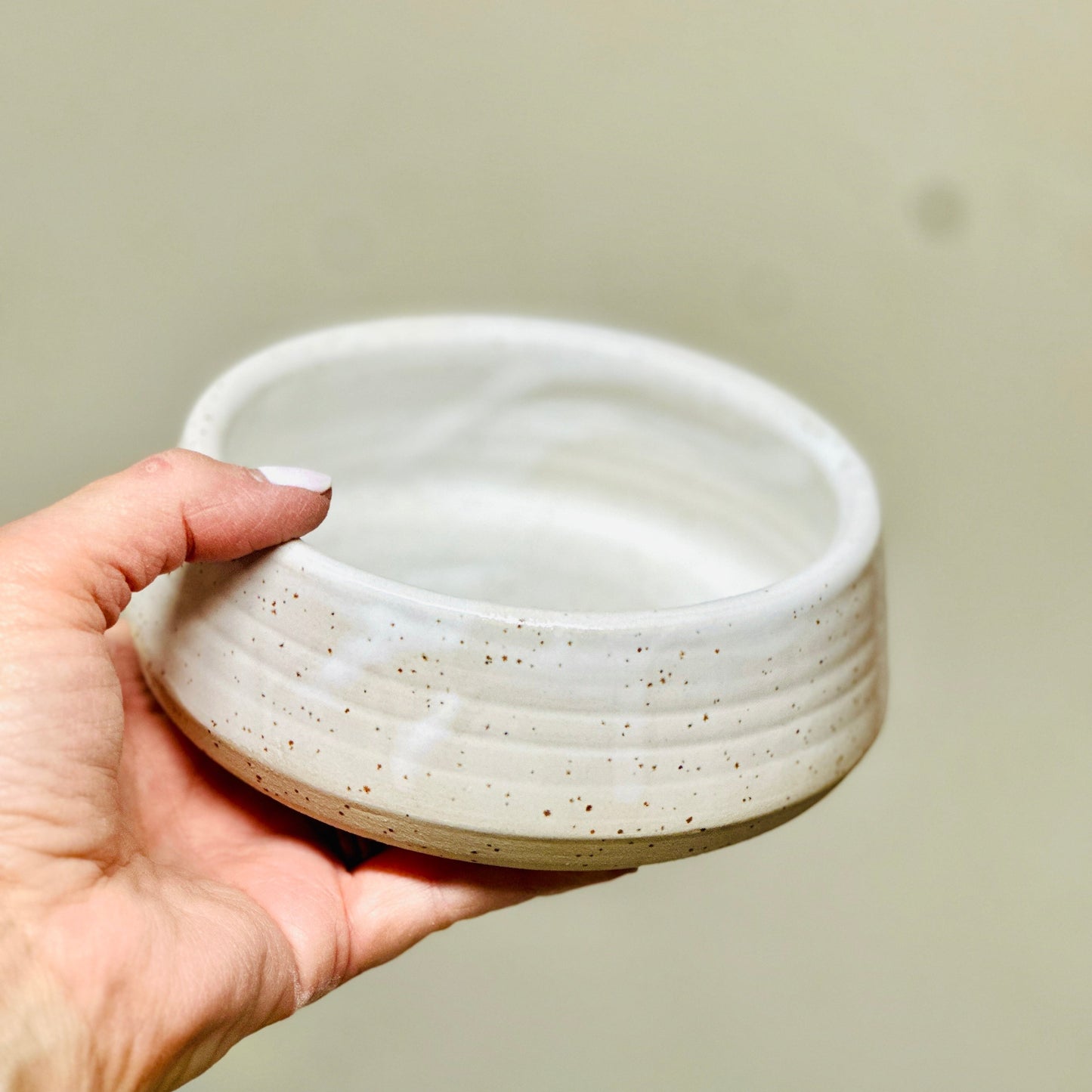 pet bowl | medium