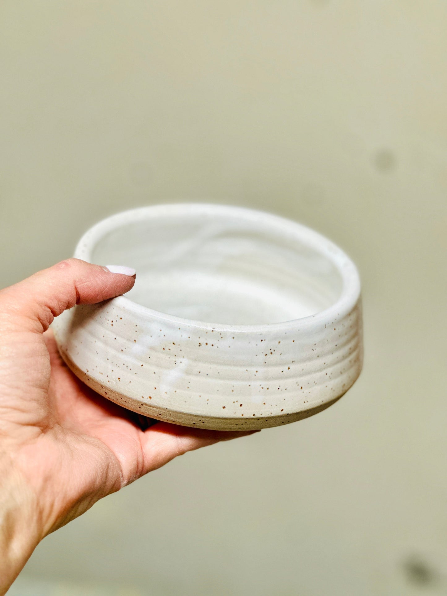 pet bowl | large