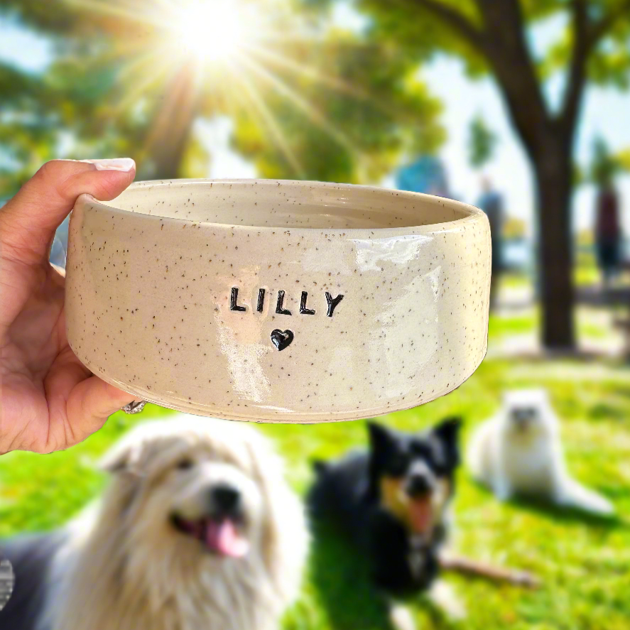 pet bowl | medium