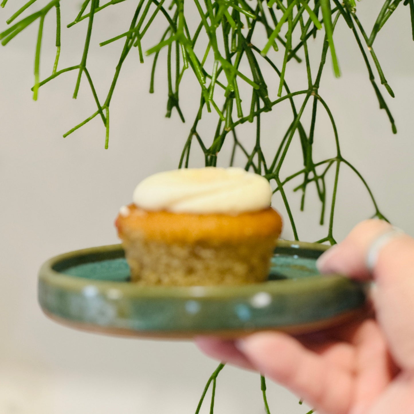 cake plate | evergreen