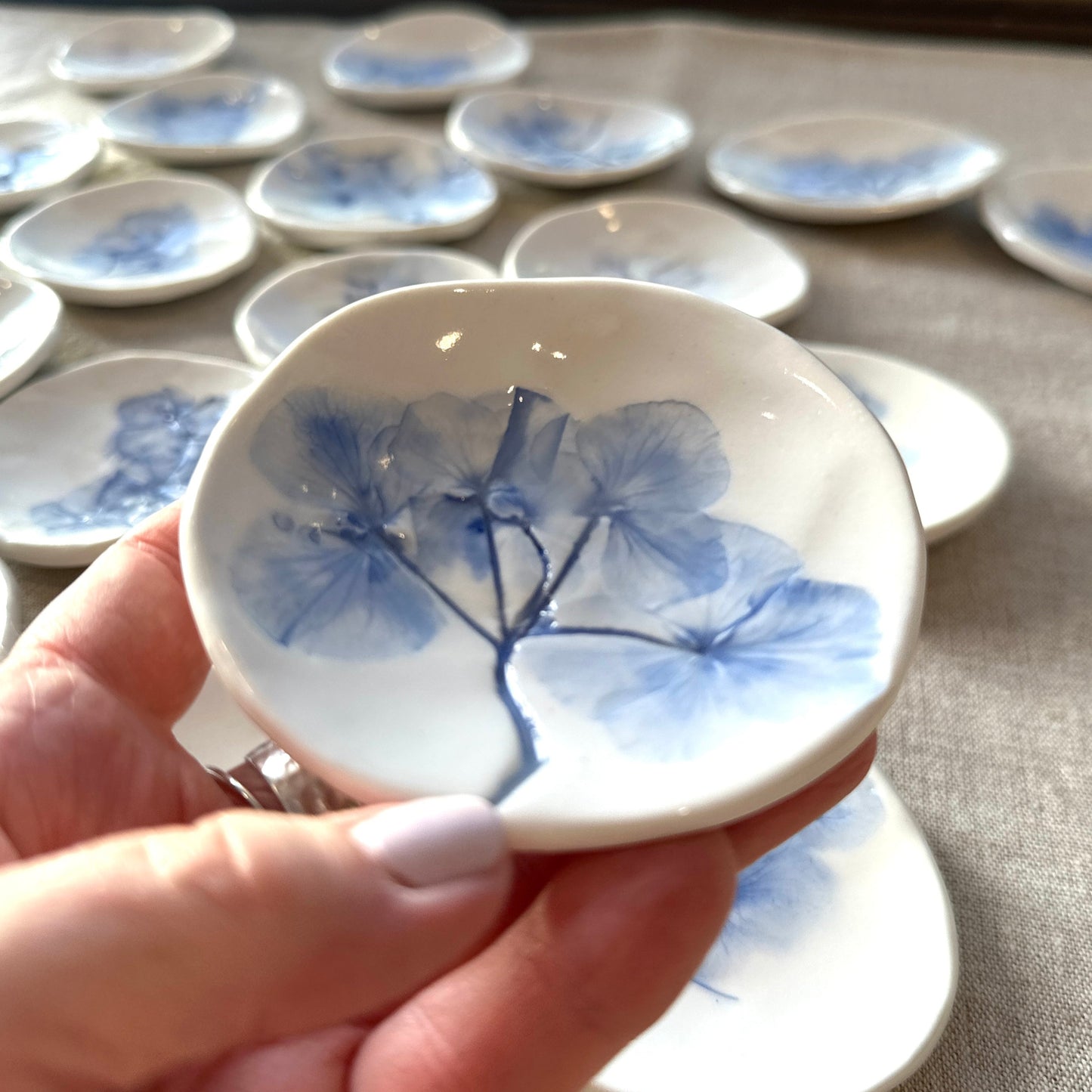 hydrangea dishes 2024